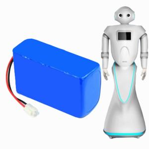 China 24V 5A 18650 Lithium Battery Pack for Smart Robot factory