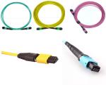 CPR 24C Fiber Optic Patch Cord Data Center MPO Fiber Cable