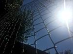 green wire mesh/hurricane fence PVC PE coated Chain Wire Hurricane Fence