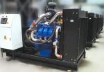 Electricity LNG CNG 250kw natural gas generator genset power Synchronous grid