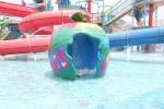 Customized Colorful Carp Spray Aqua Park Equipment For Children / Kids Fun in