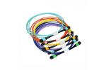 9-125um MPO MTP Cable SM 24 Fiber Trunk Cable Single Mode Patch Cord For Metro