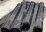 HDPE Farm Insect Net, Greenhouse Insect Net, Agriculture Shade Netting,Olive