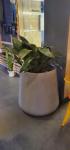 Enhance Your Garden With Elegant Fiber Clay Planters Round Shape