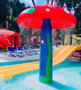 China Fiberglass Water Mushroom Fountain Customized For Children Spray Park factory