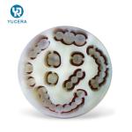 98x16mm Multilayer Dental PMMA Block For CADCAM Milling System