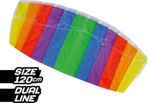 China 5bft Adults Polyester Material Parafoil Stunt Kite factory