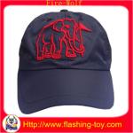 Fashion Embroidery Cap, Logo Shining Hats For Promotional Gift HL-B5121