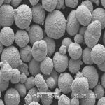 WC-10Ni HVOF Powder Equal To WOKA 3301 WOKA 3302 WOKA 3302 WOKA 3302 WOKA 3302