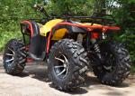 4 Stroke 250CC Utility Vehicles ATV 4.8L Fuel Tank Capacity 1790 * 1070 * 1170MM