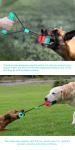 TPR OEM Dog Tug Of War Toy Suction Cup