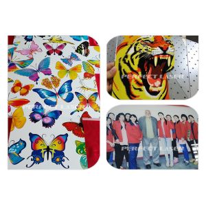 1800mm Flatbed Uv Printing Machine Hybrid Roll To Roll And All-In-One