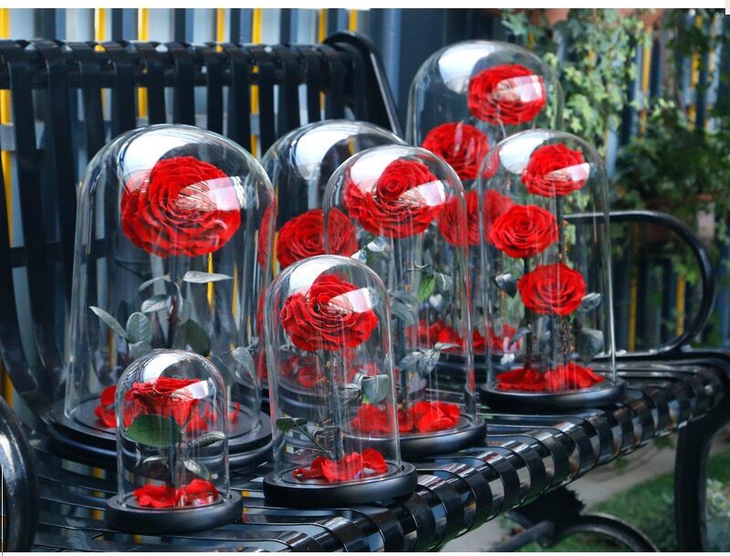 rose gift Factory Wholesale Eternal Beautiful Forever Little Prince Roses preserved rose in glass
