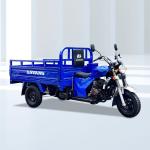 Heavy Loading Truck Cargo Tricycle with 150cc/175cc/200cc Engine and 12V Power