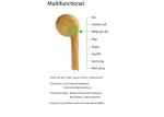Wooden Color True Wireless Stereo Earphones Earbuds , 550mAh Bluetooth Earphone