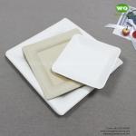 Elegant Sugarcane Square Plate-6 inch/8inch/10 inch,100% natural plant fiber