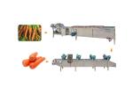 carrots 10.1kw 1500kg/h SS304 Vegetable Dryer Machine