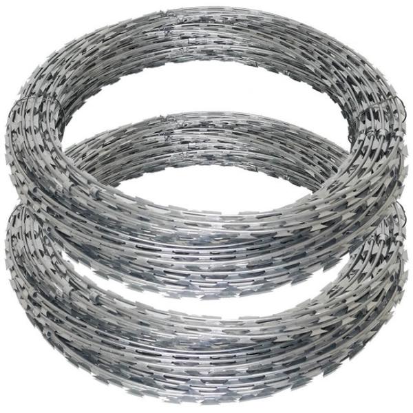 High Quality Stab Blade Thorn Rope Anti-Theft Cage Gill Net Hot -Selling New