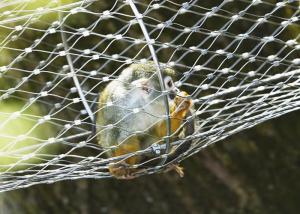 China Ferruled Rope Zoo Wire Mesh , Stainless Steel Flexible Wire Mesh Netting factory