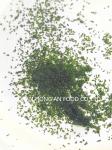 Dried Sea Lettuce Seaweed Ulva Lactuca Powder Umami Flavor Aonori Flakes