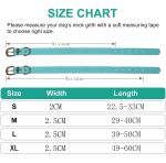 Silicone Imitation Leather Dog Collar And Leash Set Custom Waterproof Durable