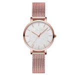 Giltter Dial Ladies Alloy Quartz Watch Stainless Steel Mesh Band Waterproof