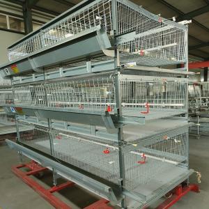 China Auto Farm Battery System In Poultry , HDG 150/200 Chicken Broiler Equipment factory