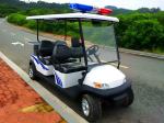 Energy Saving Custom Electric Golf Carts Street Legal 4 Seater With 3.7KW Motor