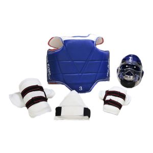 China OEM ODM taekwondo protection kit Martial Arts Training Equipment on sale