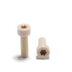 PEEK MOLD manufacturer for injection Wear resistance Peek screws