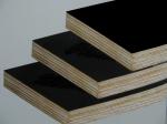 18mm high quality best selling film faced plywood for construction