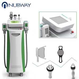 China Professional cryolipolysis machine price , weight loss cryo slimming machine on sale