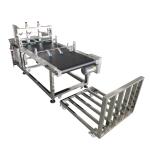 TIJ TTO Corrugated Box Laser Printer Feeder Stainless Steel Structure