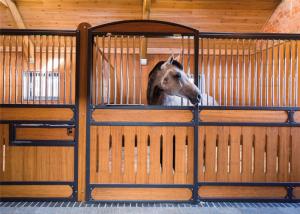 China Commercial 10ft 12ft Horse Stable Box / Galvanized Horse Fence factory