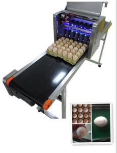China Intelligent Automatic Inkjet Marking Machine For 30 Holes Entire Pallet Eggs factory