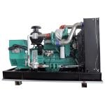 Auto Start 125KVA Natural Gas Power Generation Equipment with English Control