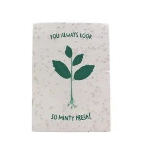 Recycled Seed Paper That Grows Embedded Flower Seed Paper Invitations