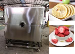 China Industrial Grade Vegetable Freeze Dryer For Heavy-Duty Drying Applications factory