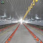Earthquake Resistant Steel Structure Poultry House Free Design Full Equipment