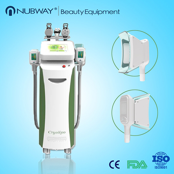 China weight loss, cellulite reduction cryolipolysis machine factory