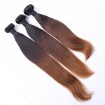 Factory supply Ombre 3 Color Silky Straight 100G Malaysian Remy Hair Extension