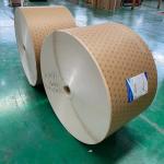 210 Gram Flexo PE Coated Paper In Roll