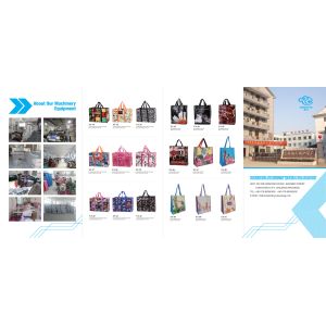 Customized Weight Capacity Woven Zip Bags For Customer Requirements