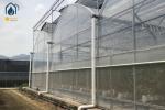 Vegetables Multi Span Agricultural Greenhouse Plant Plastic Film Greenhouse