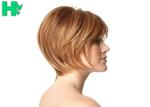 Short Elegance Synthetic Wig For White Women No Shedding & Tangle