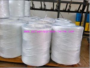 China 2MM Polypropylene Twisted PP Baler Twine For Square Hay Baler Machine factory