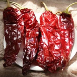 China Ingredients Paprika Pepper Chili Capsicum Xinjiang Chilli Pungency Degree 500SHU factory