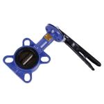 2 inch Ductile Iron Wafer Butterfly Valve ANSI 150 DIN JIS Silver for General