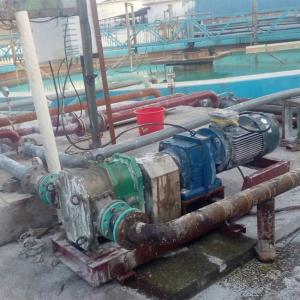 China NBR Rubber Coated Rotor Pump Positive Displacement Stable Flange DN80 factory