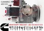 4951351 Diesel Engine Fuel Pump 4915428 4951350 4951353 4951354 4951355